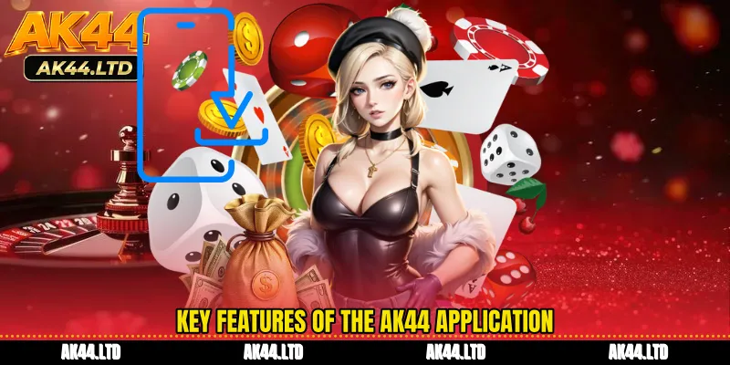 Key features of the AK44 application