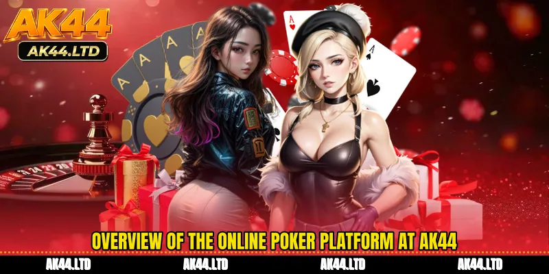 Overview of the online poker platform at AK44